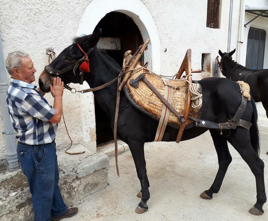 Piacere sono Carmela #gargano #puglia