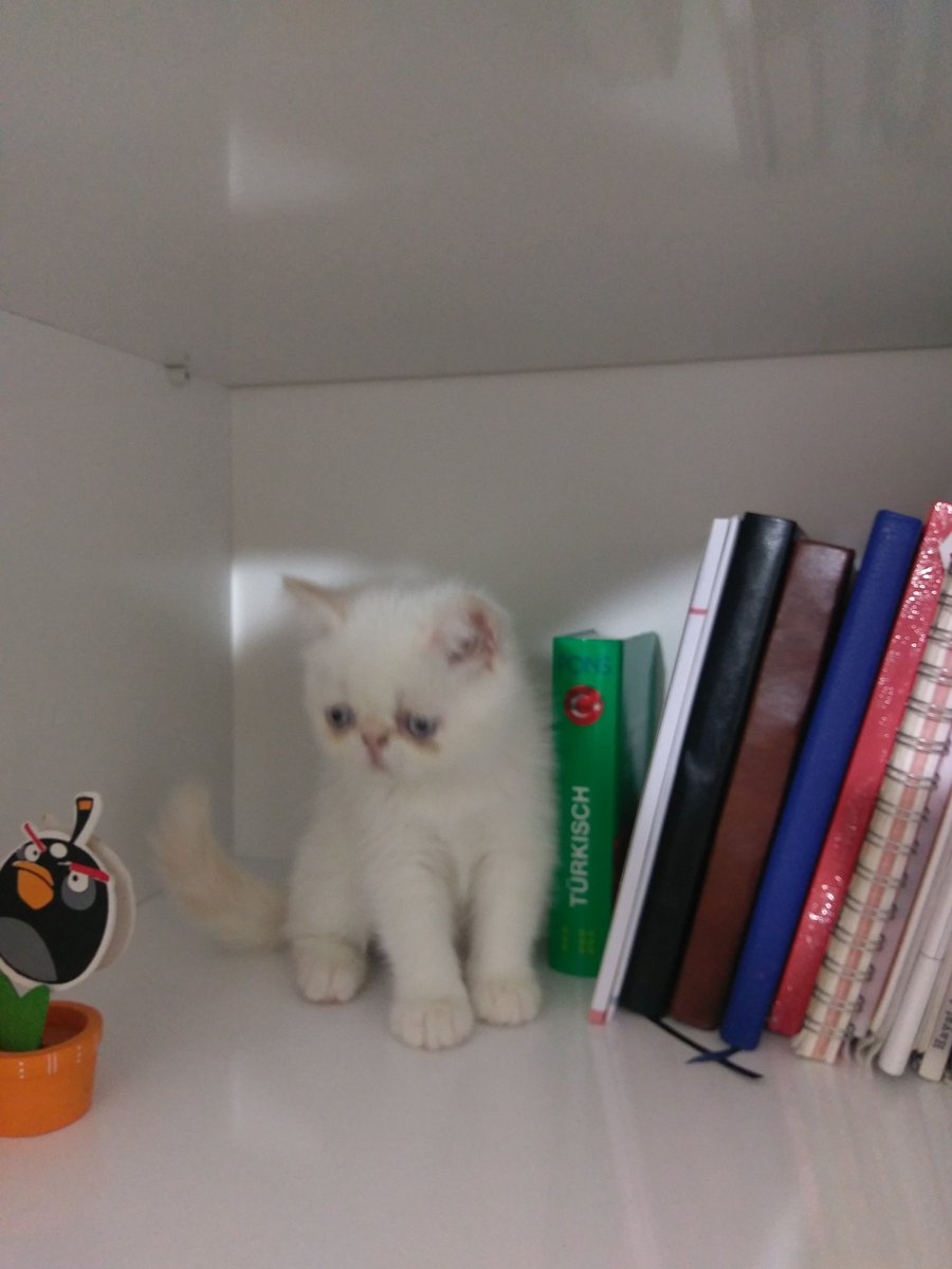 Kitaptamı okumayalım 😄😄