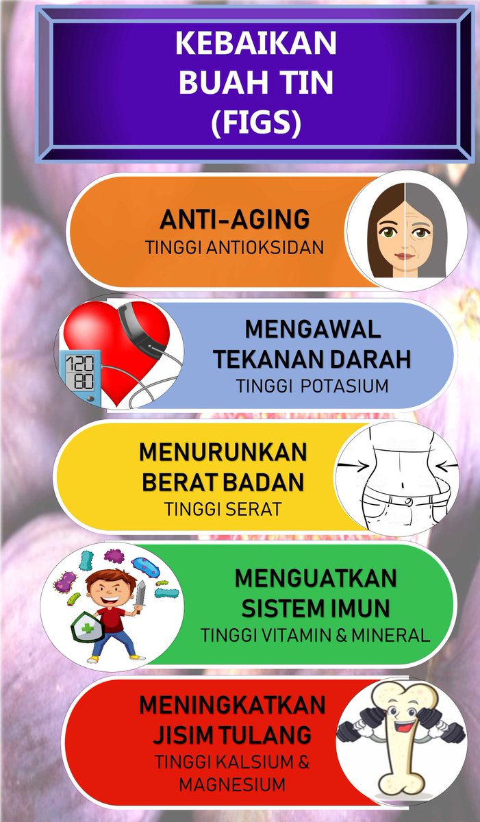 Gofigsgopeng A Twitter Antara Kebaikan Memakan Buah Fig Marilah Mula Menanam Pokok Fig Ini Di Rumah Anda D Stock Terhad Hubungi Segera Https T Co C7inlxzgbf 019 284 6231 019 284 6231 019