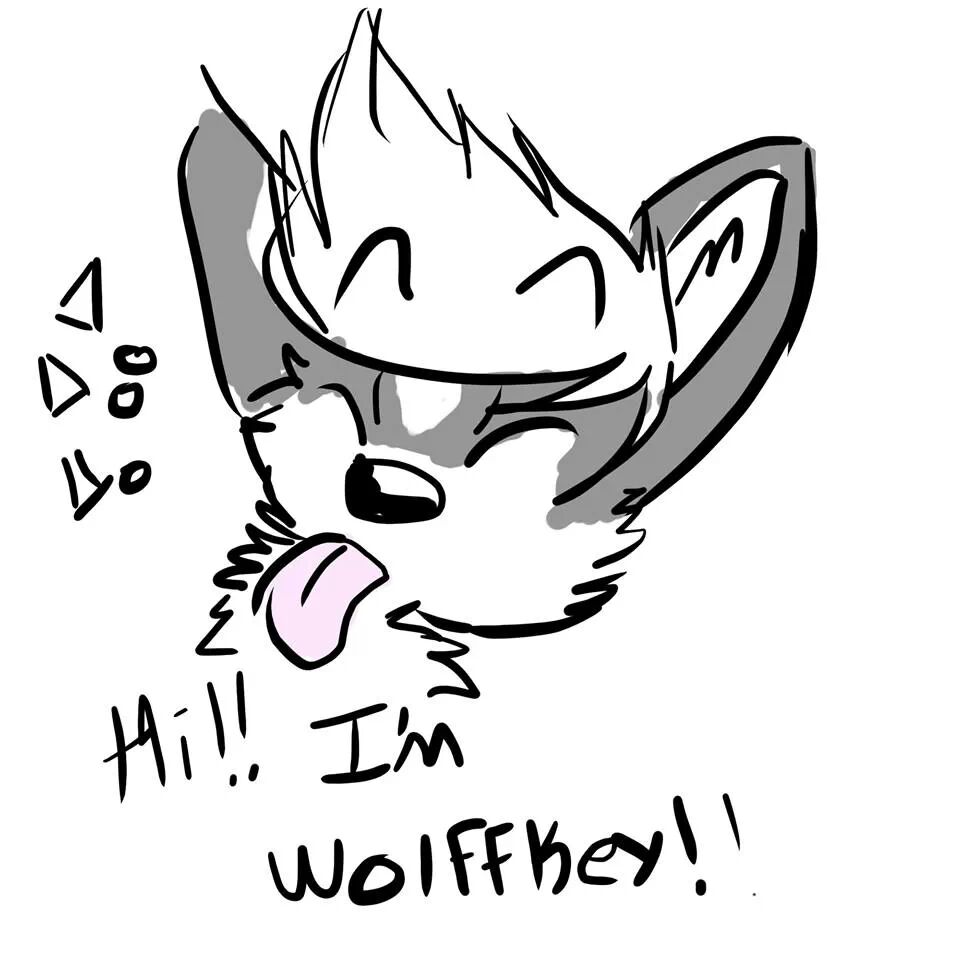 wolffkey's tweet photo. https://t.co/oZYtE4aBgJ