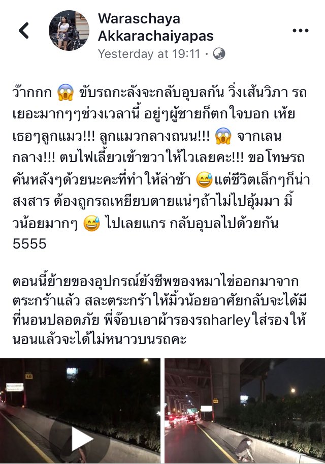 ไอเลิฟหนมแงวเลีย tweet media