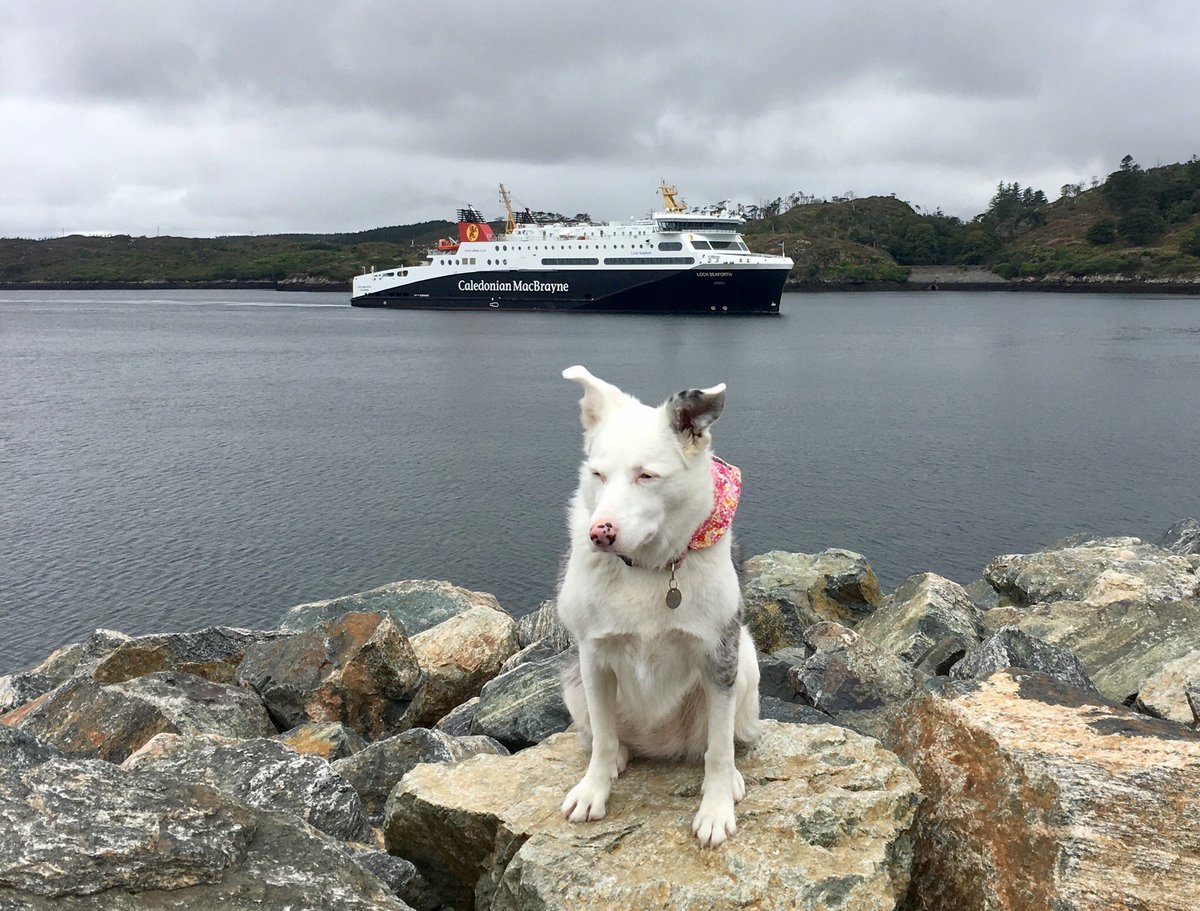 Thanks @CalMac_Updates for squeezing us on #mvlochseaforth 👍fantastic service