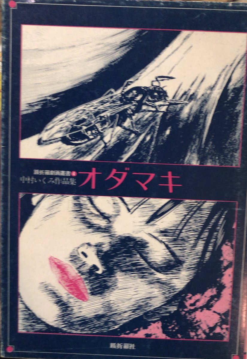 入荷情報】中村いくみ / オダマキ。 「絹代」というアイコンを使用して