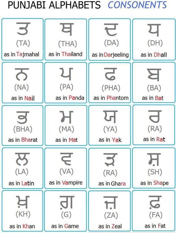 Gurmukhi Chart