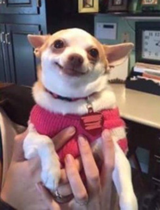 LeCircus_'s tweet photo. Me seeing Casey vs me seeing Elsa #Atypical https://t.co/82tBWd07v3