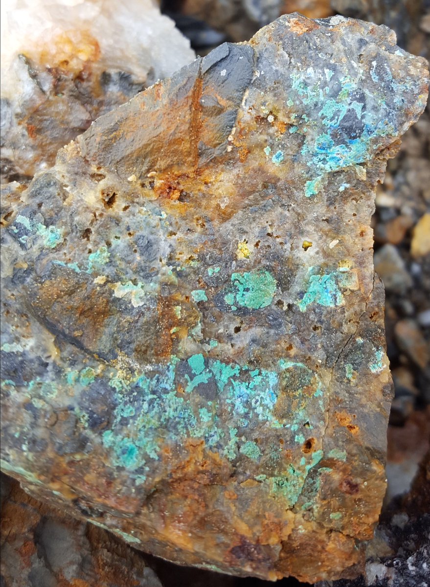 boneidle62's tweet photo. #Frongoch #SSSI with #supergene blue #linarite [PbCu(SO4)(OH)2] turquoise #schulenbergite bloom? occ euhedral crystals (not shown). Partially hidden yellow #pyromorphite inclusions. https://t.co/s0dgU10Zf3