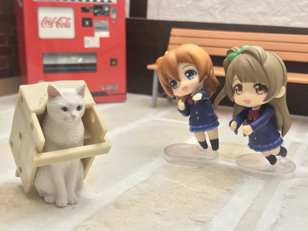 nenptin_karee's tweet photo. 見てみて猫がいるよ！ https://t.co/gXjx0gH7ju