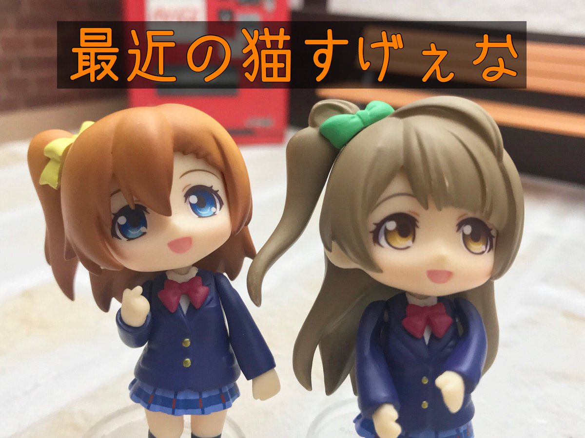nenptin_karee's tweet photo. 見てみて猫がいるよ！ https://t.co/gXjx0gH7ju
