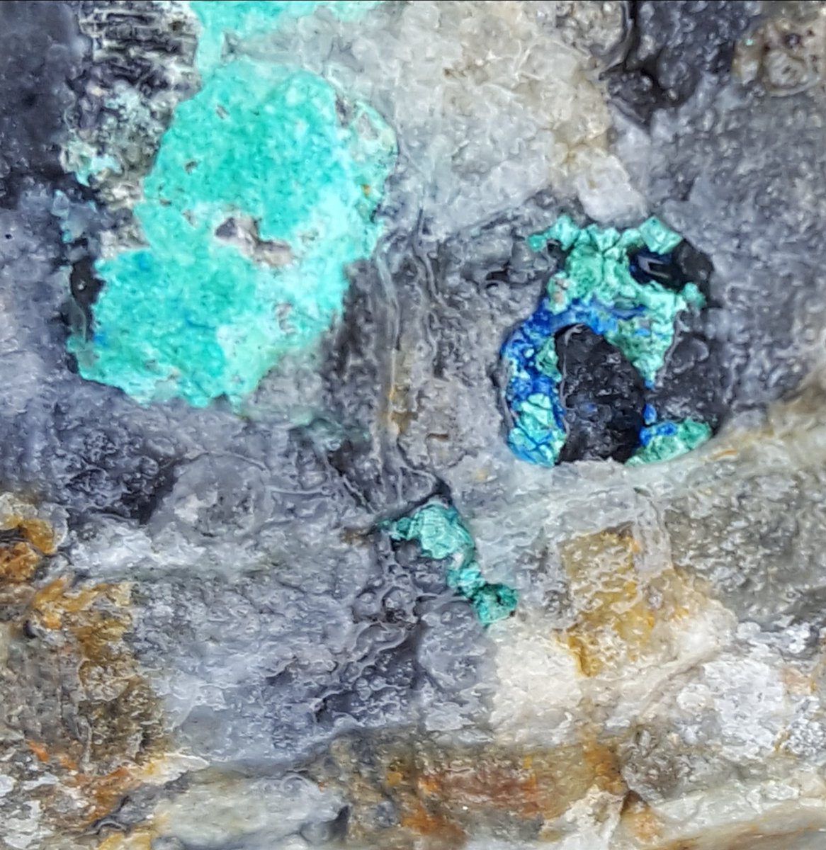 boneidle62's tweet photo. Fab 2days #MineX18 @UWTSD concludin with visit2 #Frongoch #metalmineswales 👀SSSI  [#linarite #malachite/#schulenbergite] &amp;remedial workby @NatResWales. Inc specialist hydroseedingWith @swanseageog/ @SalixBio &amp; #Elentec #electrochemistry PilotTrials. Special thanx 2all speakers. https://t.co/8Ifxgwa4s7