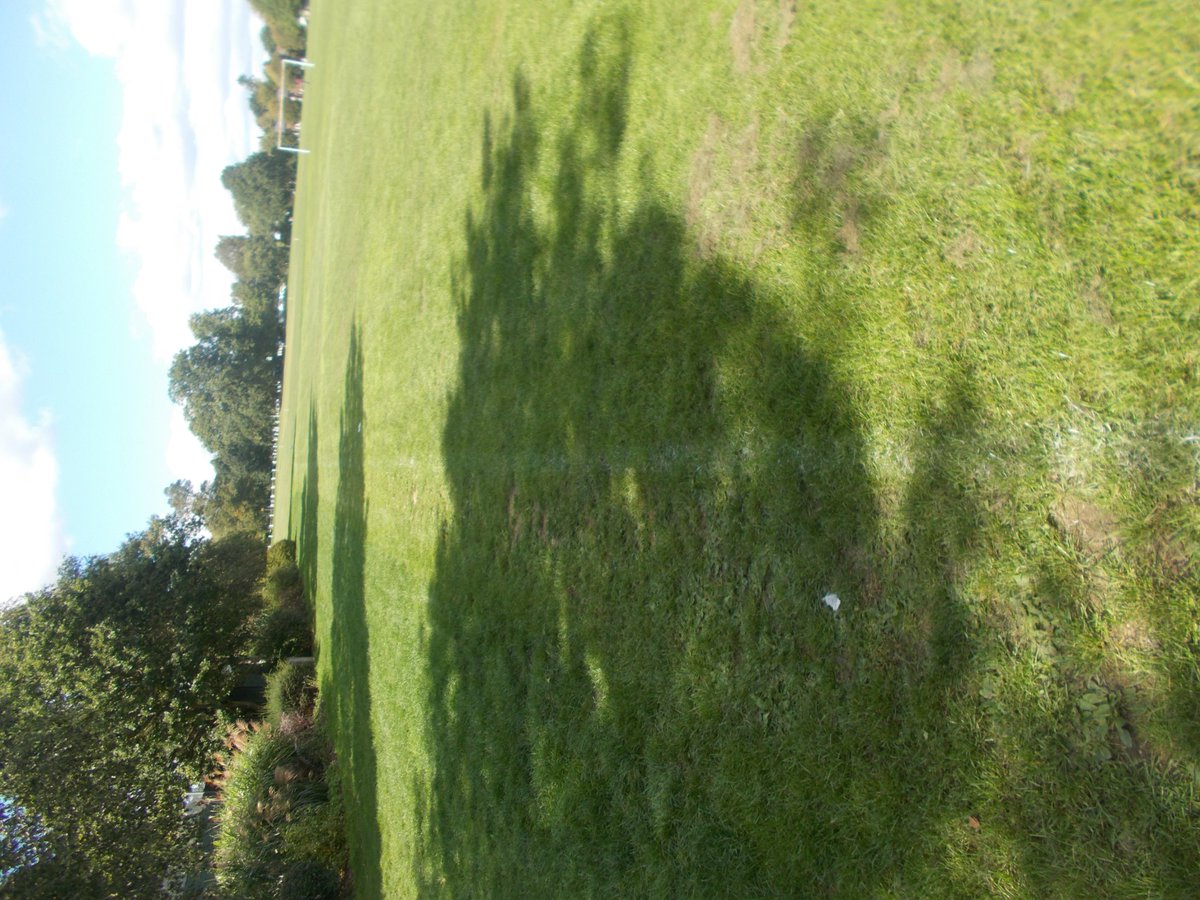 jol687's tweet photo. @lindfield_fc @mattbatch18 @MSDCnews @MSDCrangers And some more great pictures as to why grass roots football is in the mess it is £65 a game and this is what you get last years tape this years rust 
you also marked the pitch out then cut it ? why 
our game tomorrow is now unlikely to go ahead step 7 prem for you https://t.co/qia1tyka6z