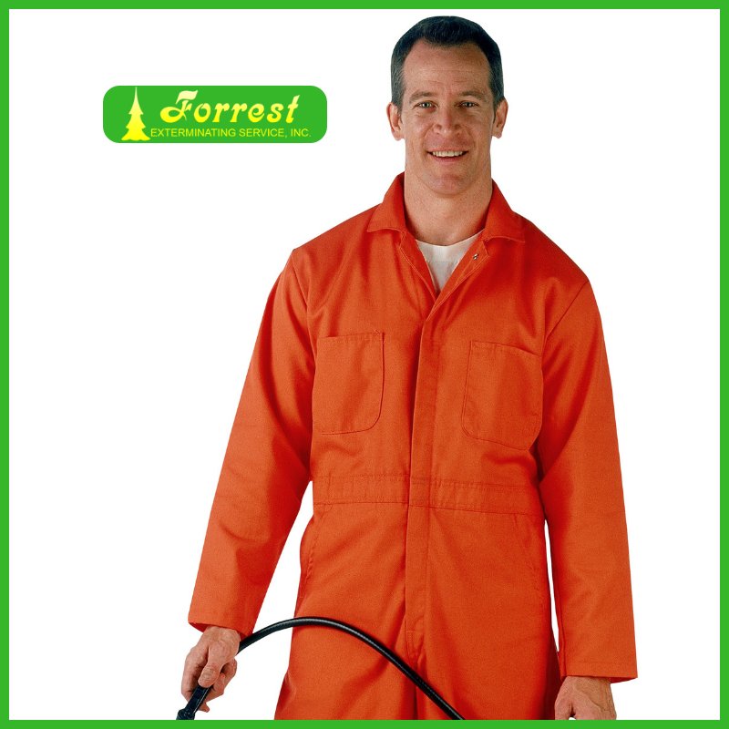 ForrestExterm's tweet image. We are standing by ready to get your home FREE of unwanted pests :) #pestcontrol #moisturecontrol forrestexterminating.com