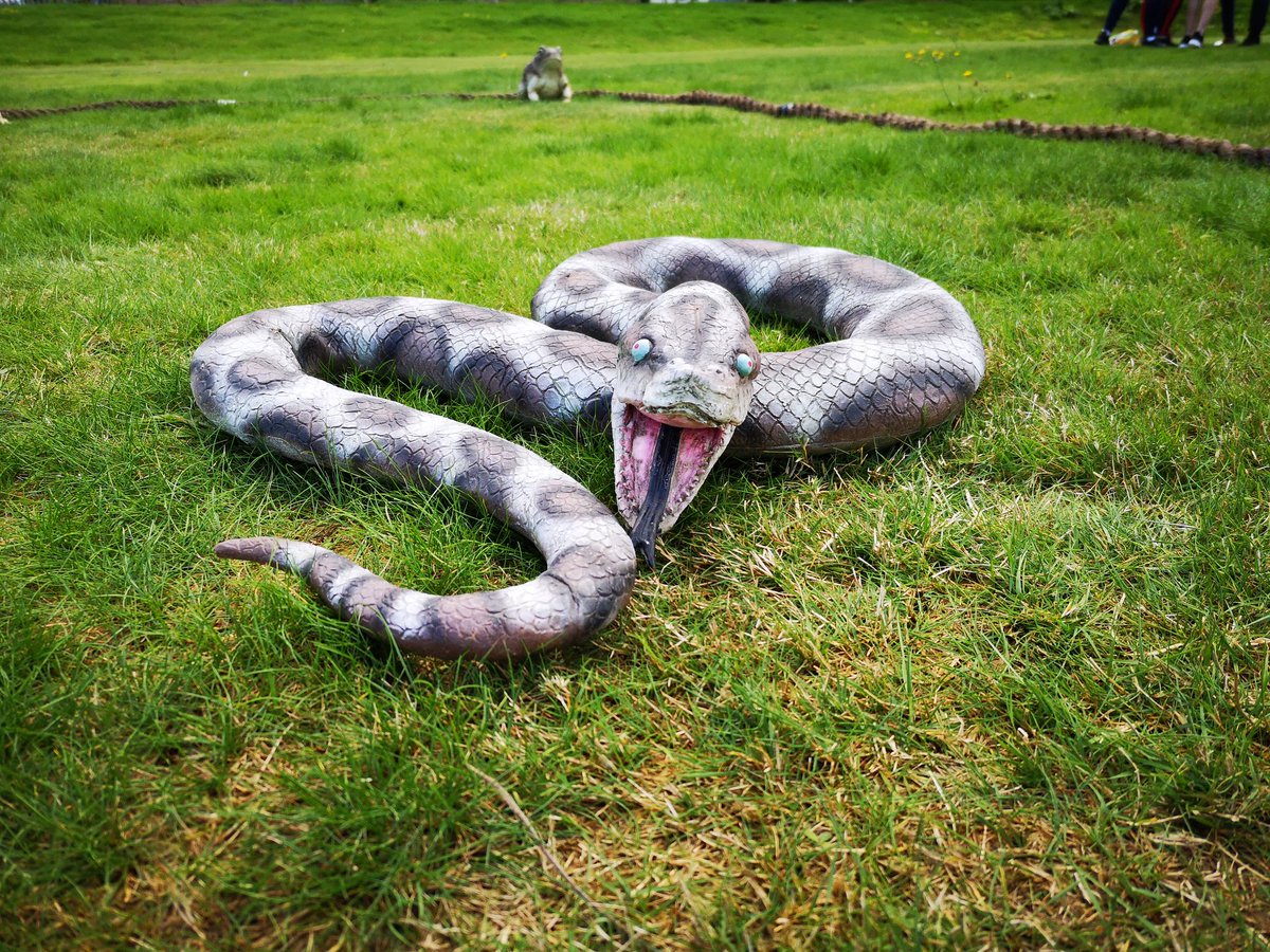 WatersideT's tweet image. The last 3 games before the Dome who is going to win! Don't step on the mines, the snakes might get you, and skies the wrong way around. #watersidet #gotoevents