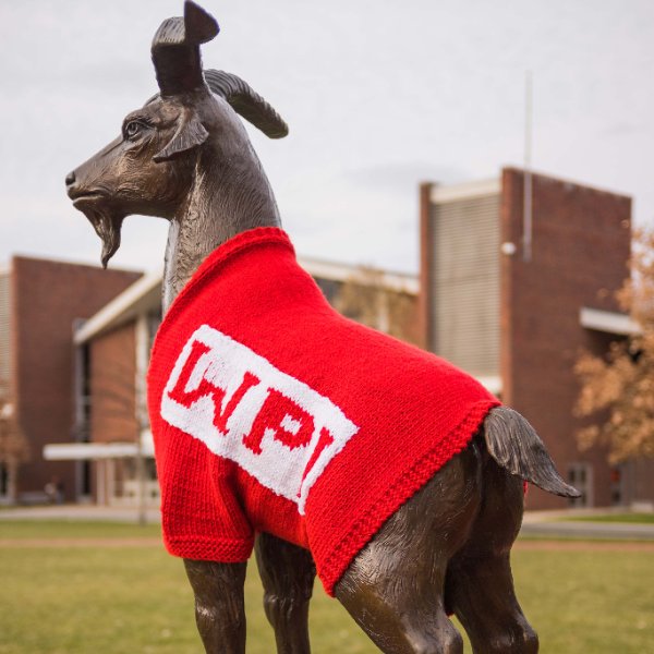 WPI's tweet photo. When the temp drops below 90. #sweaterweather #Gompei https://t.co/NEsDEcPwxy
