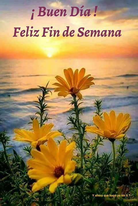 esperanza mora (@perita_mora) on Twitter photo 