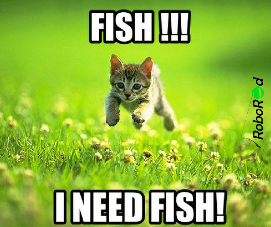 Roborod1's tweet photo. When you don’t go fishing for a day. 😂

#Fishing #FishingRod #Anglers #Fisherman #AnglingFishing #AnglingForTheFuture https://t.co/t5816Ml7kd