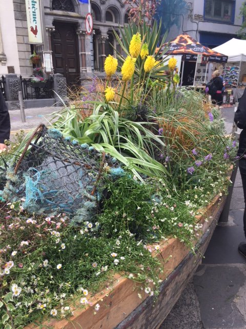 TheGrowProject1's tweet photo. Great morning @TheGrowProject1 with our current QQI level 5 Horticulture students installing their coastal themed planting project for the Waterford Harvest Festival. Thanks to @EveryEventIre and Parkside Nurseries for kindly supplying plants @harvest_fest @kcetb @WAPartnership https://t.co/HD9Mqd1XTl