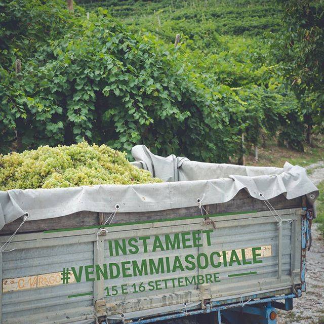 Se diciamo #settembre, una delle prime parole che probabilmente vi viene in mente è...#vendemmia! Avete voglia di vendemmiare? Sabato 15 e Domenica 16 settembre si svolgeranno 2 instameet nell'area del #prosecco in provincia di #Treviso: forbici e macchi… ift.tt/2MXivqi