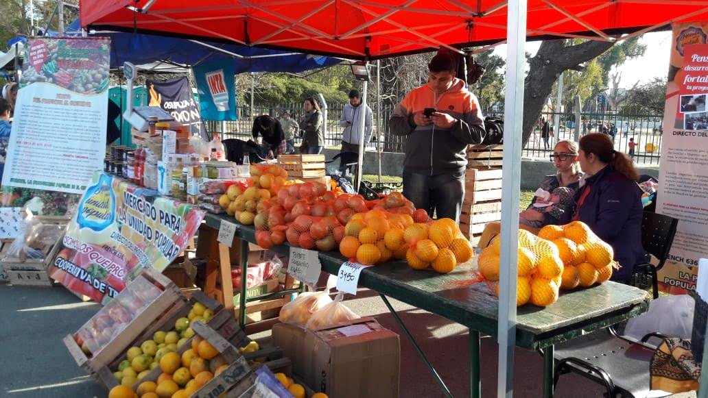 INTAInforma's tweet photo. Para poner en valor el trabajo que realizan los productores del periurbano bonaerense, el Consejo Local Asesor del #INTAAMBA organiza la Semana de Visibilización de la Agricultura Periurbana del 8 al 15 de Septiembre
→ https://t.co/47akxe6vPg https://t.co/zwbvAKgQ0j