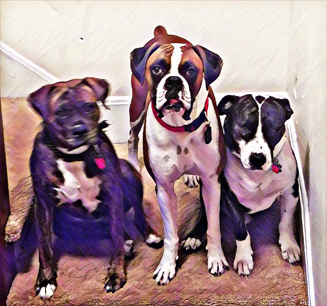 NeverNanashi's tweet image. My babies #Fortheloveofdog
#Dogtees #graphictee 
#sidehustle #linkinbio