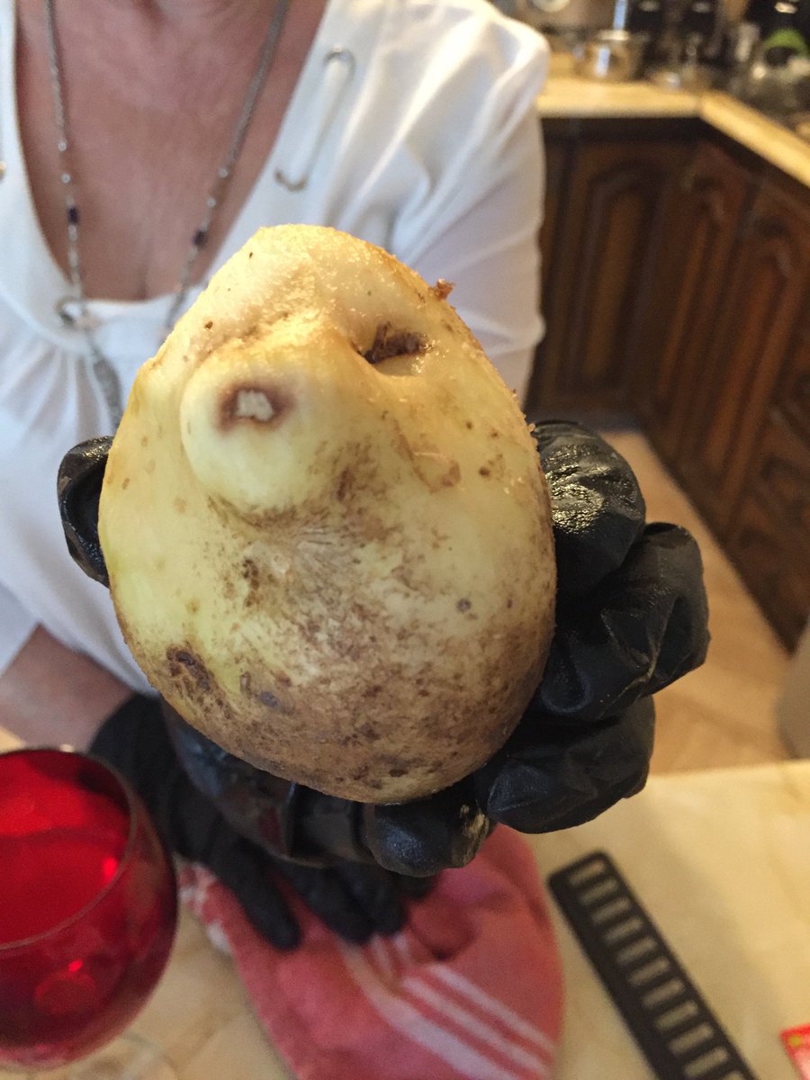 NiecyOKeeffe's tweet image. I’m home for the weekend and I hear my Mum shouting up the stairs at me, roaring ‘Come here, quick!’ My heart drops, thinking my Dad (who has been poorly) has keeled over or something. I belt down, expecting the worst. Reason? She found a potato that looks like a smug hedgehog.
