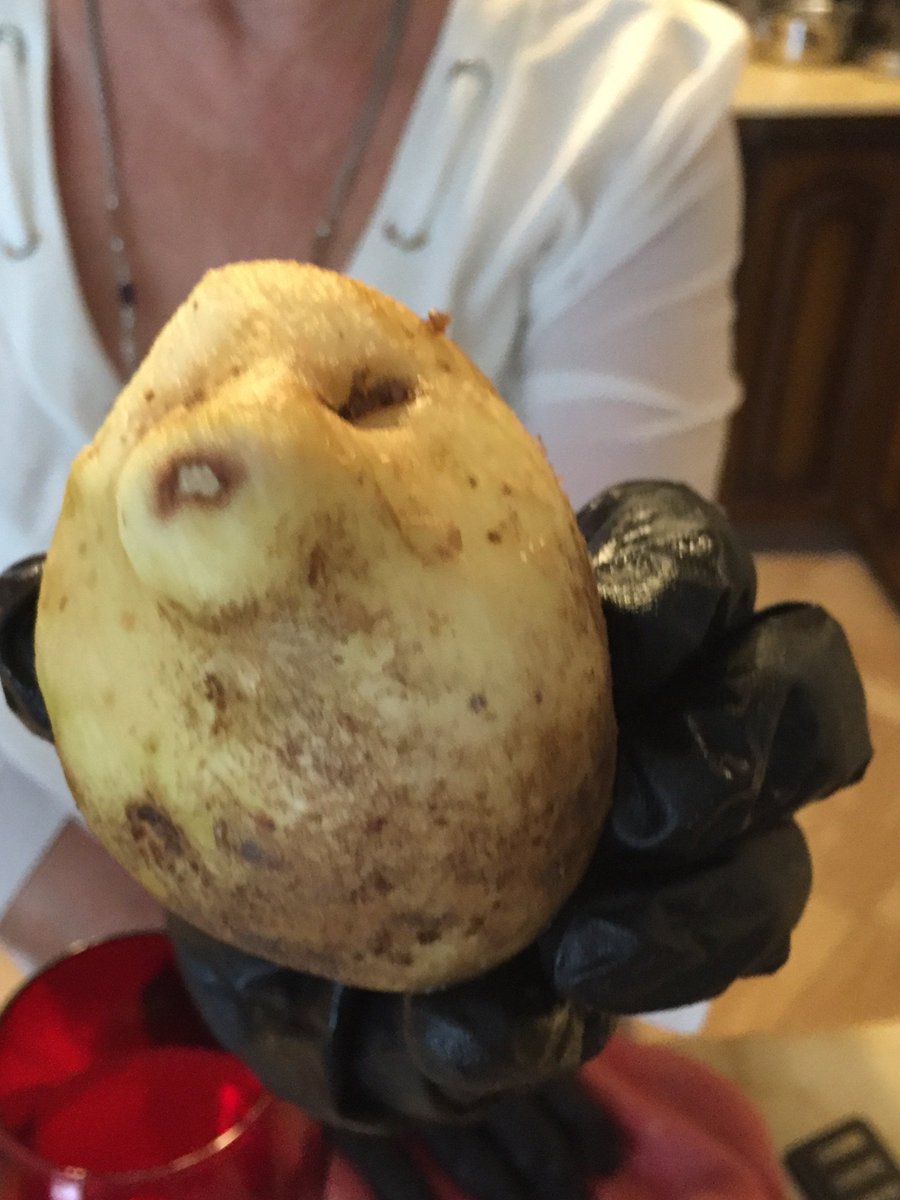 NiecyOKeeffe's tweet image. I’m home for the weekend and I hear my Mum shouting up the stairs at me, roaring ‘Come here, quick!’ My heart drops, thinking my Dad (who has been poorly) has keeled over or something. I belt down, expecting the worst. Reason? She found a potato that looks like a smug hedgehog.