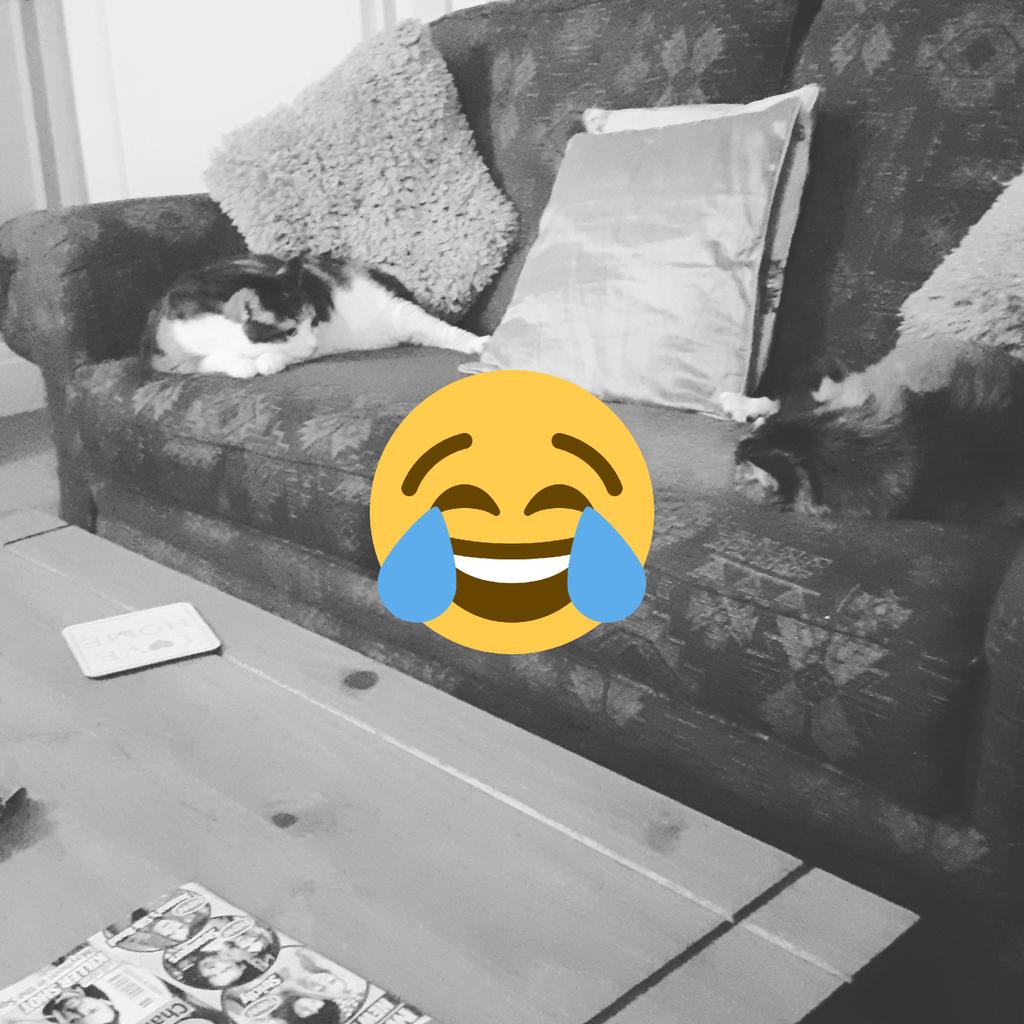 annie99's tweet photo. https://t.co/N5LldQOZBB