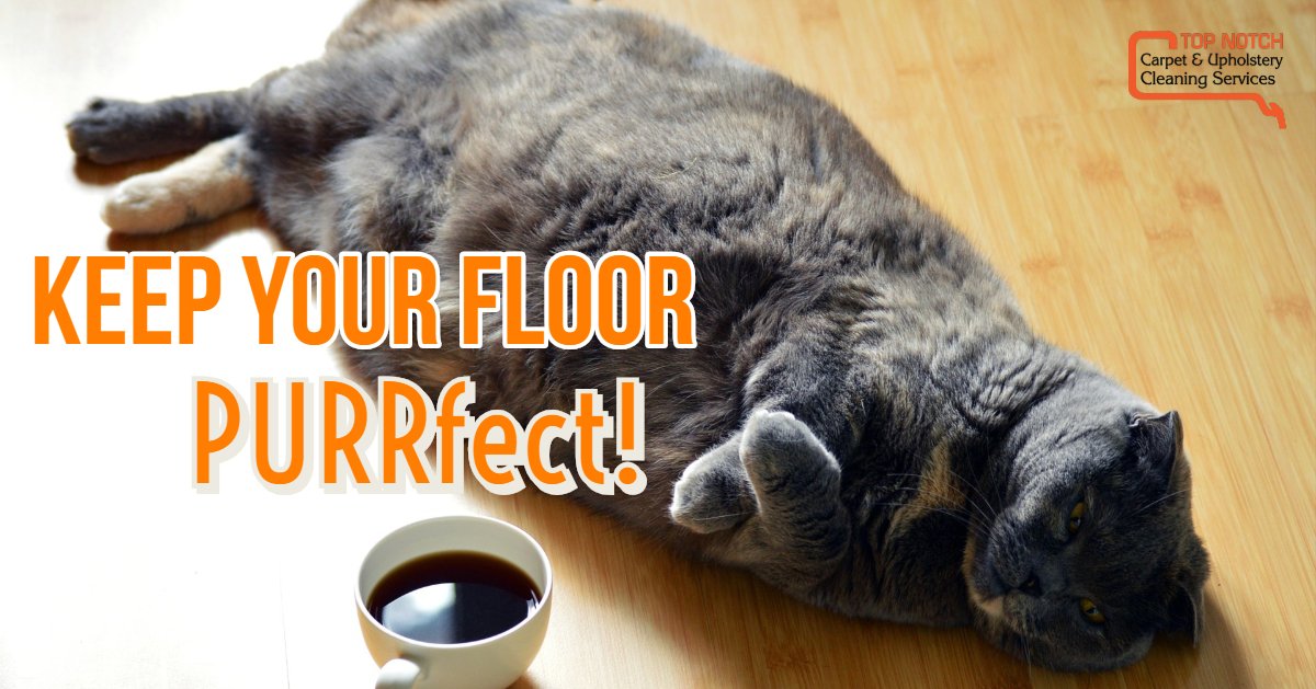 Top Notch Carpet & Upholstery Cleaning Services (TNCarpet) Twitter