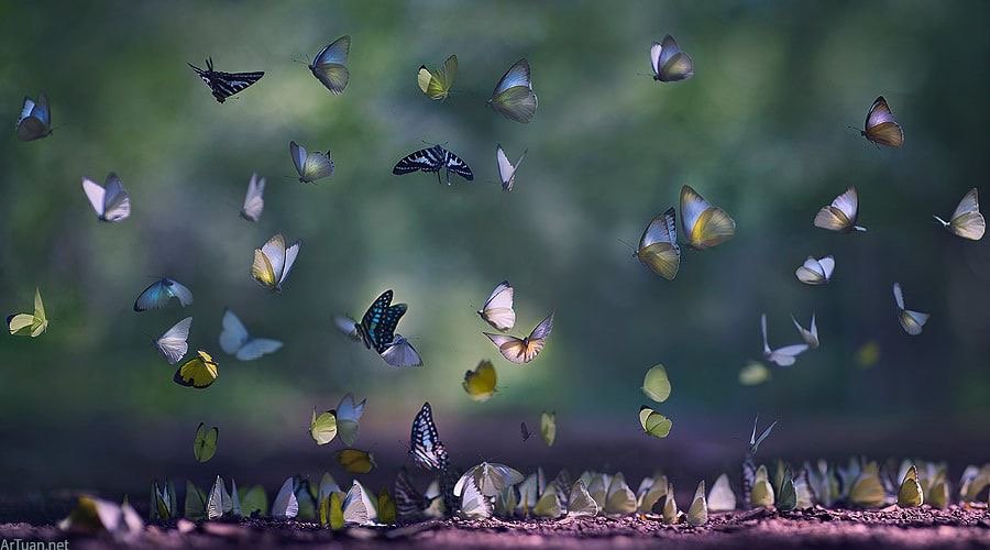 ramblingsloa's tweet photo. If we don’t change, we don’t grow.
If we don’t grow, we aren’t really living.

Gail Sheehy
Pic Le Anh Tuan https://t.co/mt64rcpLJB