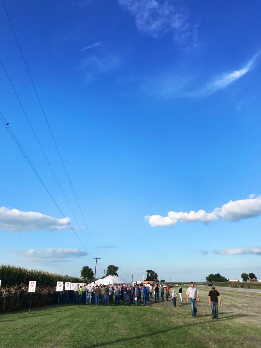 greatheartseed's tweet photo. Field Day in Paris  #greatheartseed 🌱❤️

Photo | @hilarybrooke79 https://t.co/sFDnkBg9XL