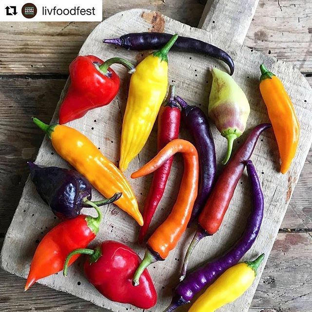 janey (@chilligourmets) on Twitter photo I will be at @livfoodfest next Saturday 15th September giving workshops showing you how to handle the heat and leave the bland behind. As well as my Chillies I will be using some fabulous spices from <a href="/spicekitchenuk/">Spice Kitchen™</a> who will be “in the tent” 😉 on Sun… ift.tt/2NotOHm I will be at @livfoodfest next Saturday 15th September giving workshops showing you how to handle the heat and leave the bland behind. As well as my Chillies I will be using some fabulous spices from <a href="/spicekitchenuk/">Spice Kitchen™</a> who will be “in the tent” 😉 on Sun… ift.tt/2NotOHm