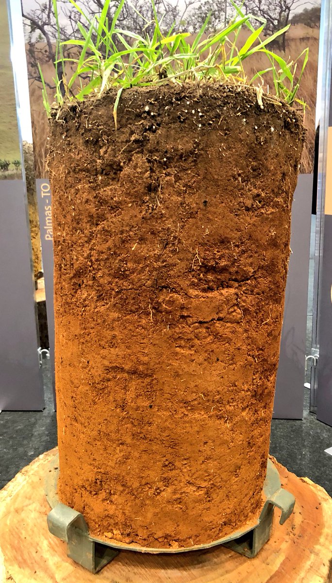 Dirt_Science's tweet photo. Friday treat: Some pics of the #soil monoliths and soil #art (the balls and jars are soil too) from the #wcssbrazil2018
Soil is not always brown! https://t.co/PDKHYS6w8g