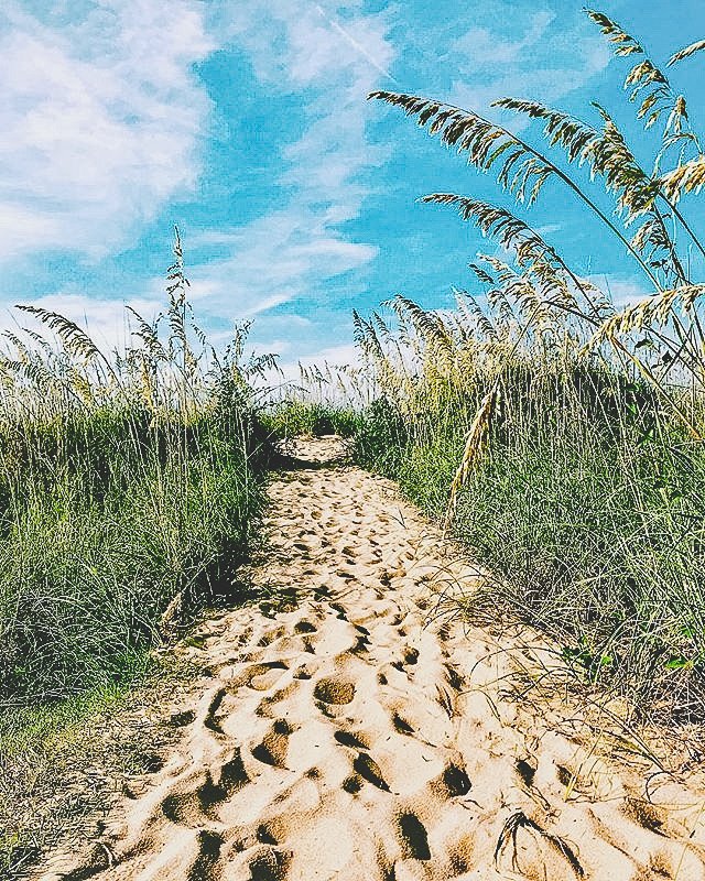Its #FeatureFriday!
-
Did you know Norfolk has over 7 miles of beautiful beaches to visit? #Repost from <a href="/NorfolkVA/">City of Norfolk, VA</a> 💛#iheartnorfolk