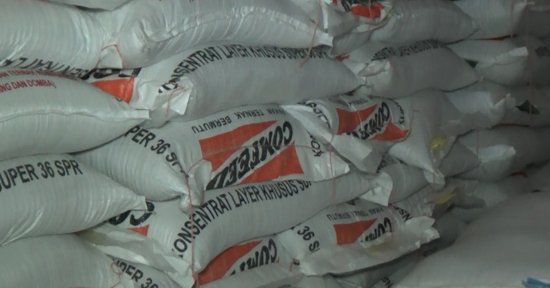 Dampak Nilai Tukar Dolar Menguat, Harga Pakan Ayam Naik dlvr.it/QjRxxw