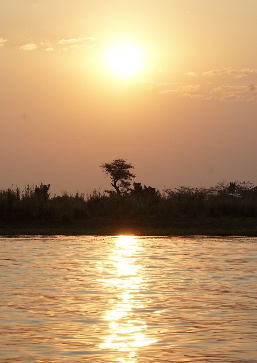 El paseo en #barco por el #rio #chobe permite ver muchos #animales de cerca y desde otra perspectiva a cuando los ves de #safari #botswana