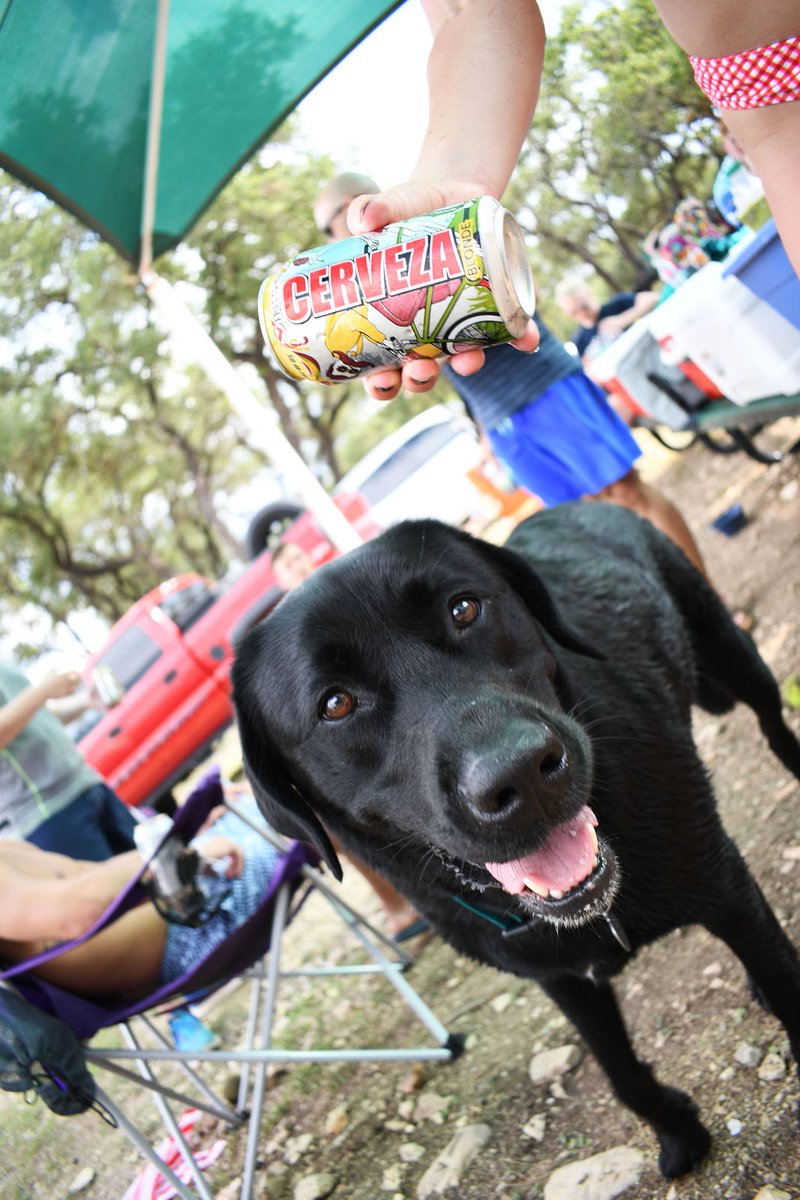 freetailbrewing's tweet photo. Who's a good boy?? #HangWithALocal #freetail #texasbeer https://t.co/VYMKz1OPtG