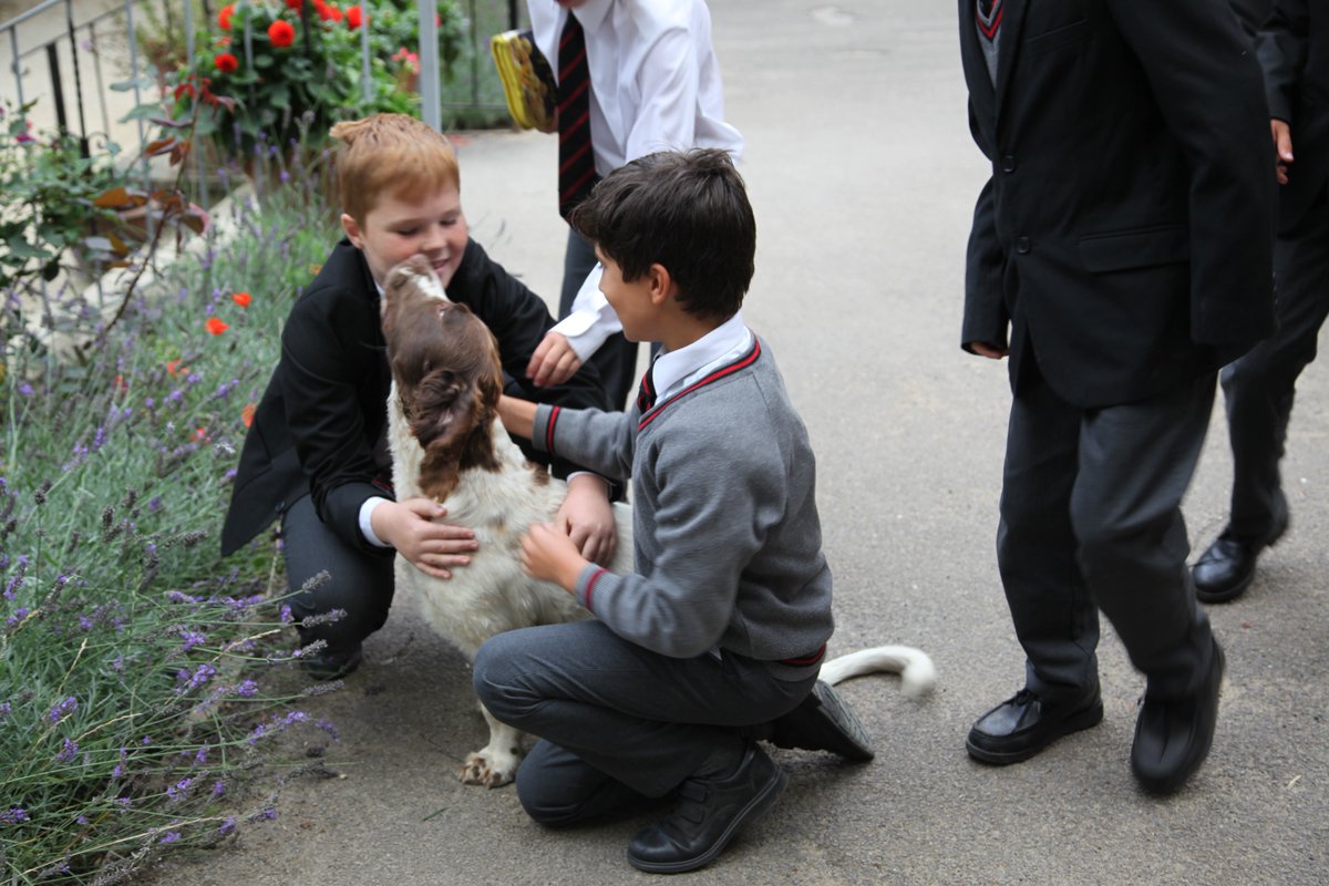 Looks like my friend Chase has made some new friends in Junior School too!