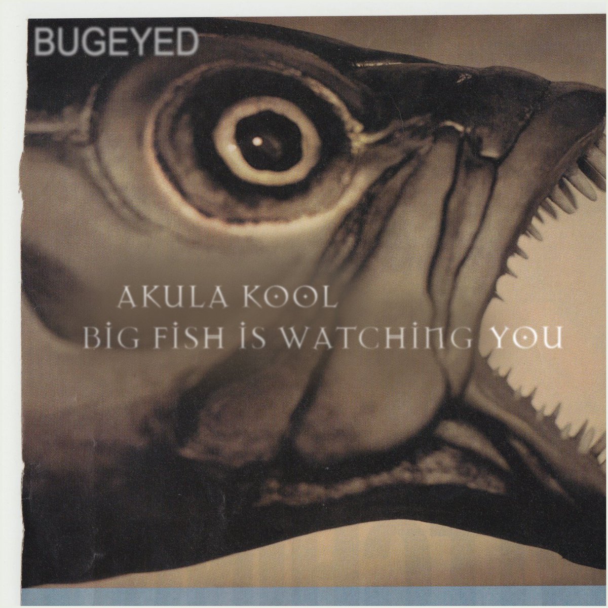 BugEyedRecords's tweet image. ♫♪ new release: BIG FISH IS WATCHING YOU is here
beatport.com/release/big-fi…
🐟 #akulakool #bigfishiswatchingyou #glasgowsmile #electro #house