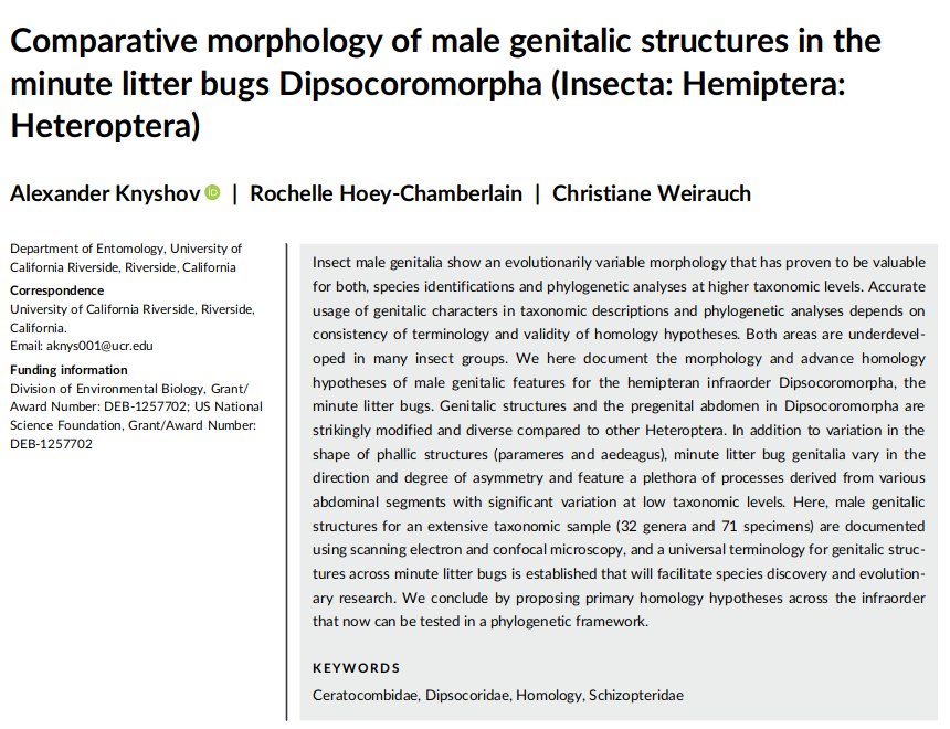 Alex Knyshov tweet media