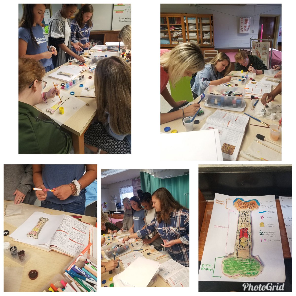 BchsCte's tweet photo. Mrs. Carpenter's Health Science classes doing an awesome job and working hard on a bone project! #theyknowwaymorethanme https://t.co/ROndoM7hER