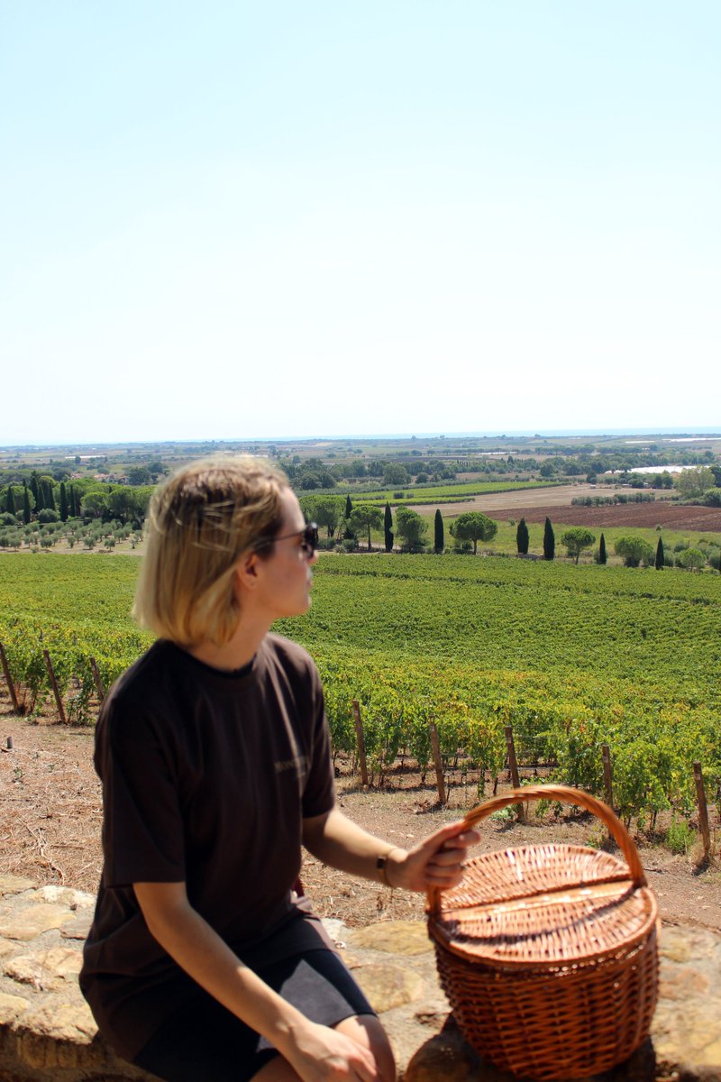 maremmatuscany's tweet photo. From grape to glass... the vendemmia (grape harvest) is ON at the Monteverro vineyard in #Capalbio! Check it out if you want a glimpse of one of the #Maremma #Tuscany's oldest and most venerable traditions... and THE perfect excuse to day drink under the Tuscan sun! 😊 https://t.co/F2Ep90q7aH