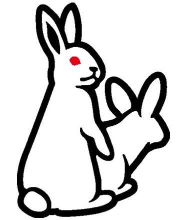 Mondo Mascots on X: Japanese clothing brand FR2 have a pair of copulating  bunny mascots called the Fxxking Rabbits.  / X