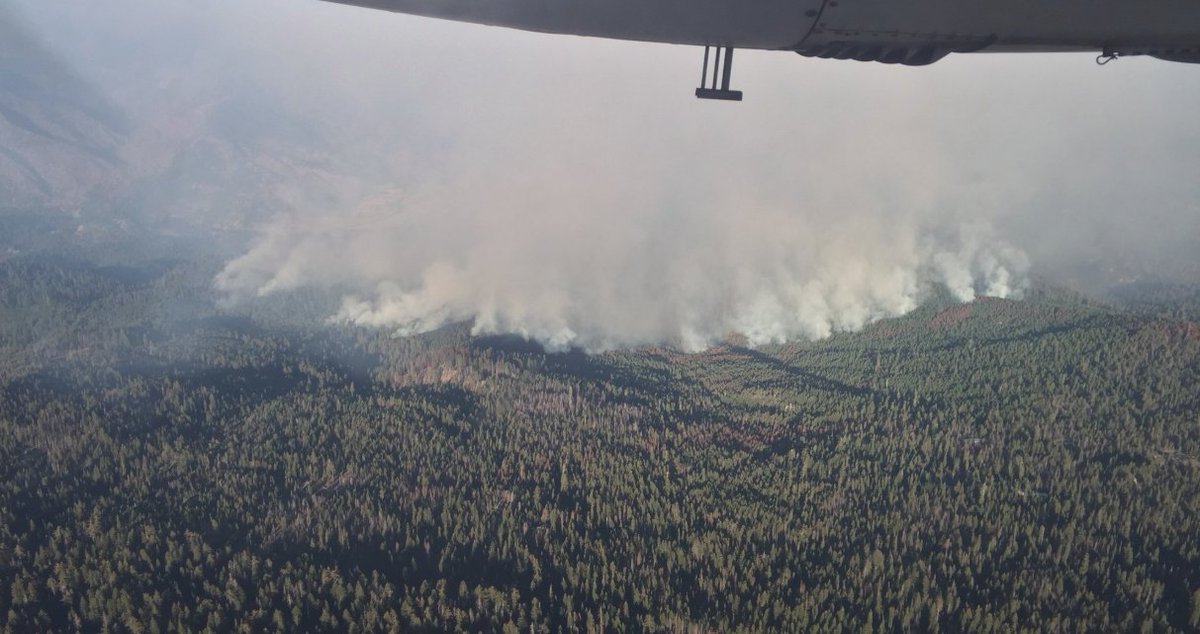 KymKemp's tweet image. Maps, photos, and information on the #KerlinFire which still has 0% containment. 
kymkemp.com/2018/09/07/ker…

Photo from Shasta Trinity National Forest.