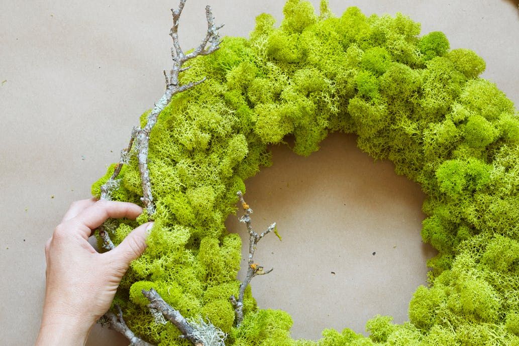 timberpress's tweet image. A DIY wreath from Caitlin Atkinson, the author of Plant Craft: 30 Projects that Add Natural Style to Your Home via @AptTherapy: buff.ly/2Mpo27K