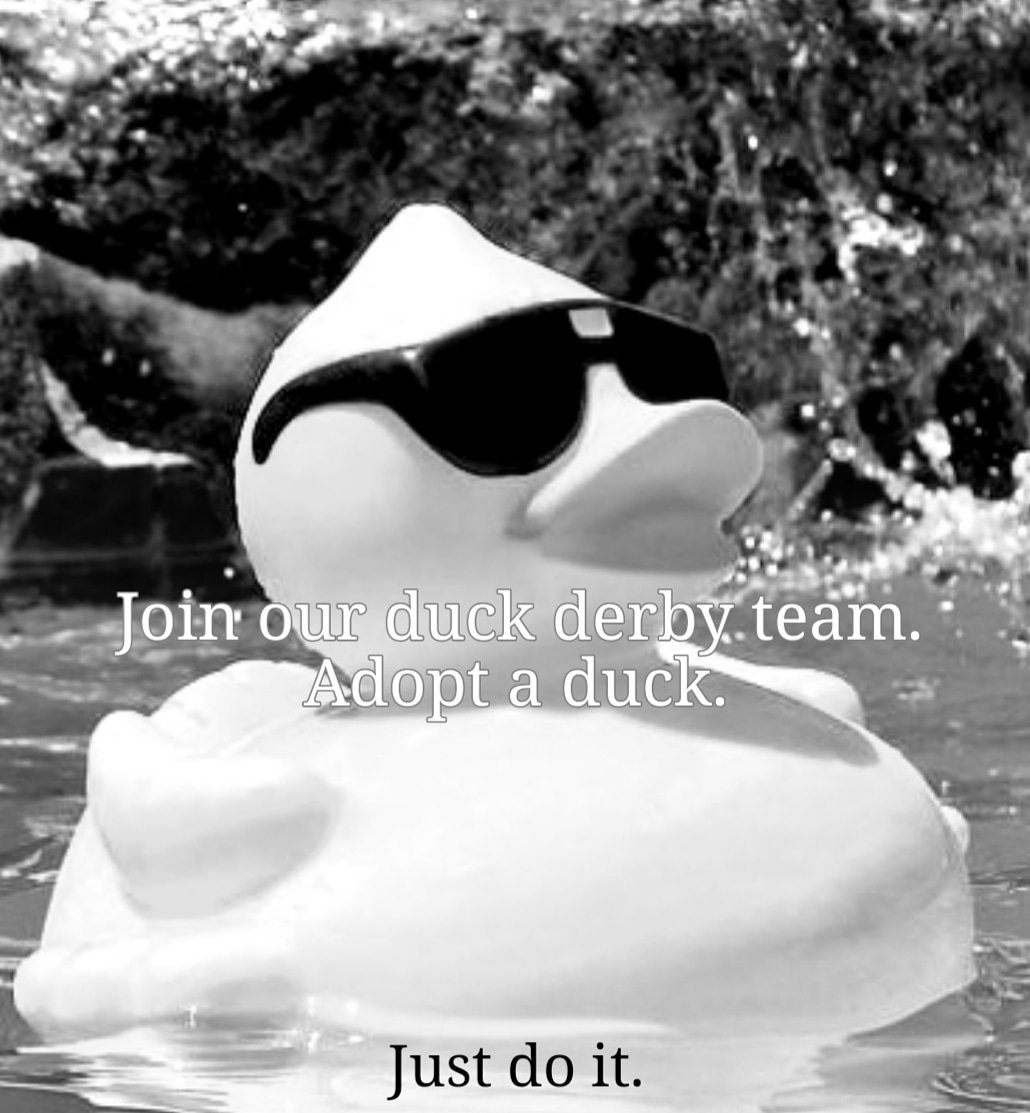 PrettyPools's tweet photo. https://t.co/2IDiVYeV8J 
@TCTRotary
#PrettyPools #PoolService #PoolCleaning #PoolRepair #PoolsSupplies #FlowerMound #FloMo #DFW #Champions #Duck #DuckDerby #Charity #Event #GivingBack #CrossTimbersRotary #CrossTimbers #Rotary #CentralPark #Riverwalk #JustDoIt #FridayMotivation https://t.co/35xeGc3dS6