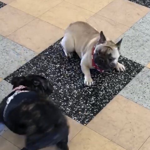 HappyHappyHazel's tweet photo. That look when you realize you aren’t the crazy one in the group?  Am I even prepared for this next level? https://t.co/v1j1OrzwHV