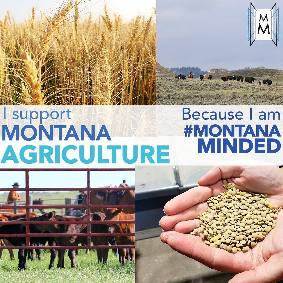 Montana Ag is more efficient and technologically advanced than ever, which is just one more reason why we are proud to support it in all of it's many forms. 🌱🌱🌱

#MontanaMinded #IamMontanaMinded #Montana #mtpol #farming #ranching #agriculture #mtag #mtnews #mtsen
