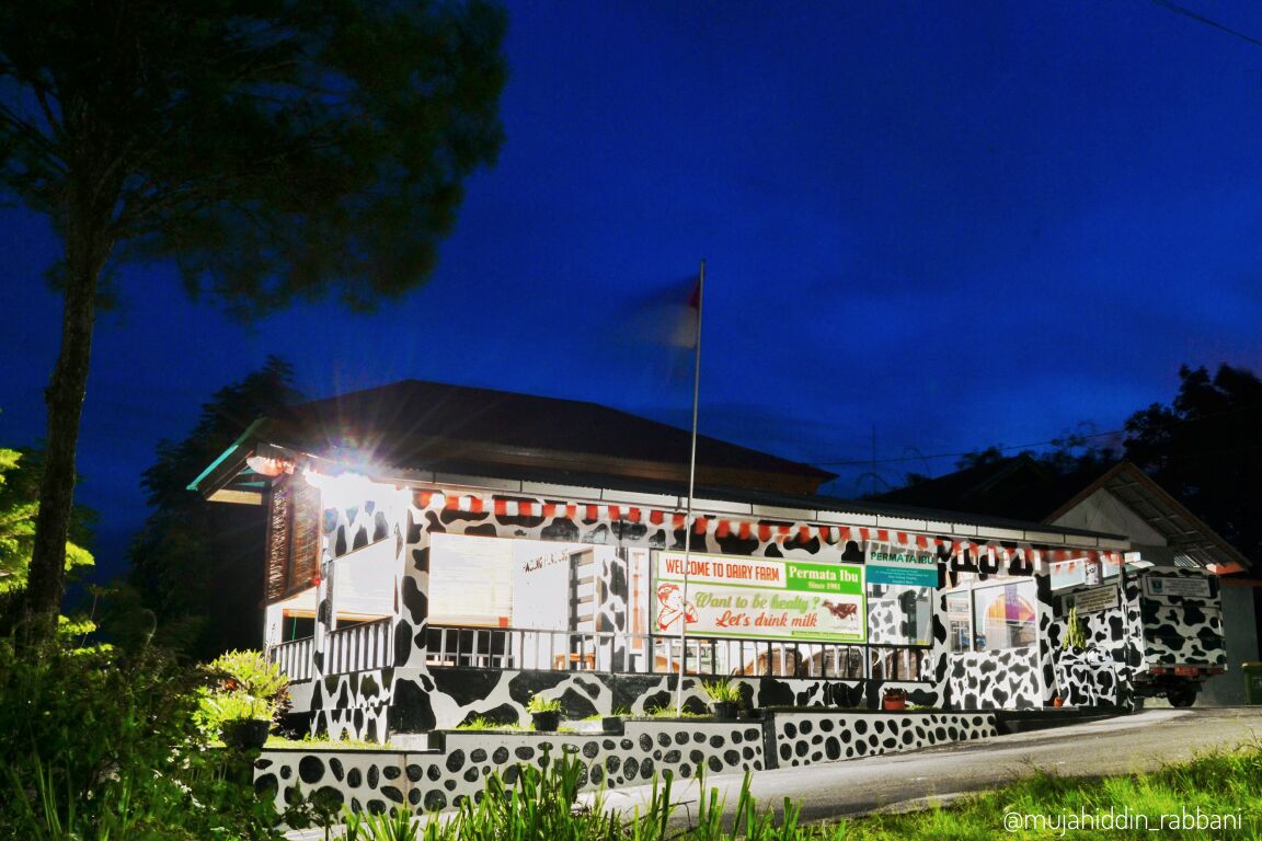 <a href="/wisataSumbar/">Sumatera Barat</a> wisata edukasi sapi perah dan susu sapi😊😎