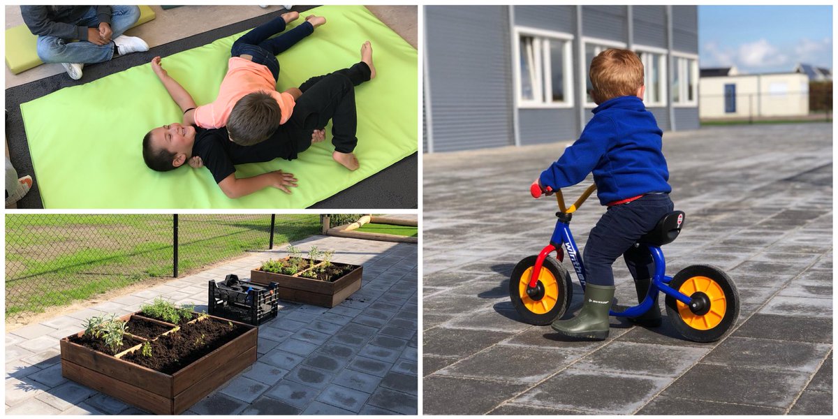c_aandelanen's tweet photo. #vruchtbare en #sportieve vrijdag op @c_aandelanen: kruiden planten in het #moestuintje, #loopfiets uitproberen en #judoskills. Fijn weekend! #groenevingers #bewegendleren #natuur #grootewielen @OnsKindbureau @signumonderwijs @rodenborch https://t.co/jTIu6n90yk