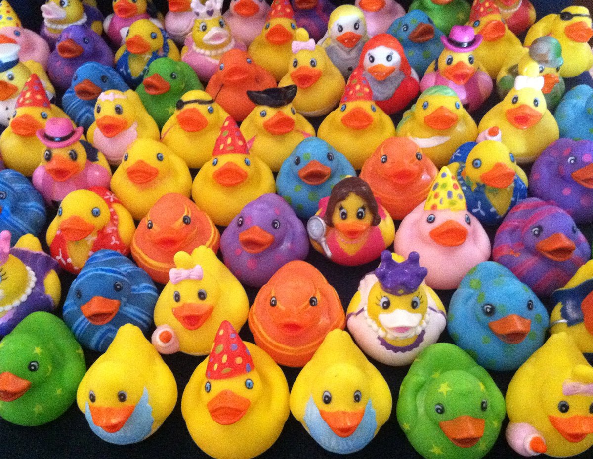 cmuducks's tweet photo. Ducks have dropped! get searching and dont forget to tag us in a pic and then rehide the duck!!! https://t.co/xsKz3aODXM