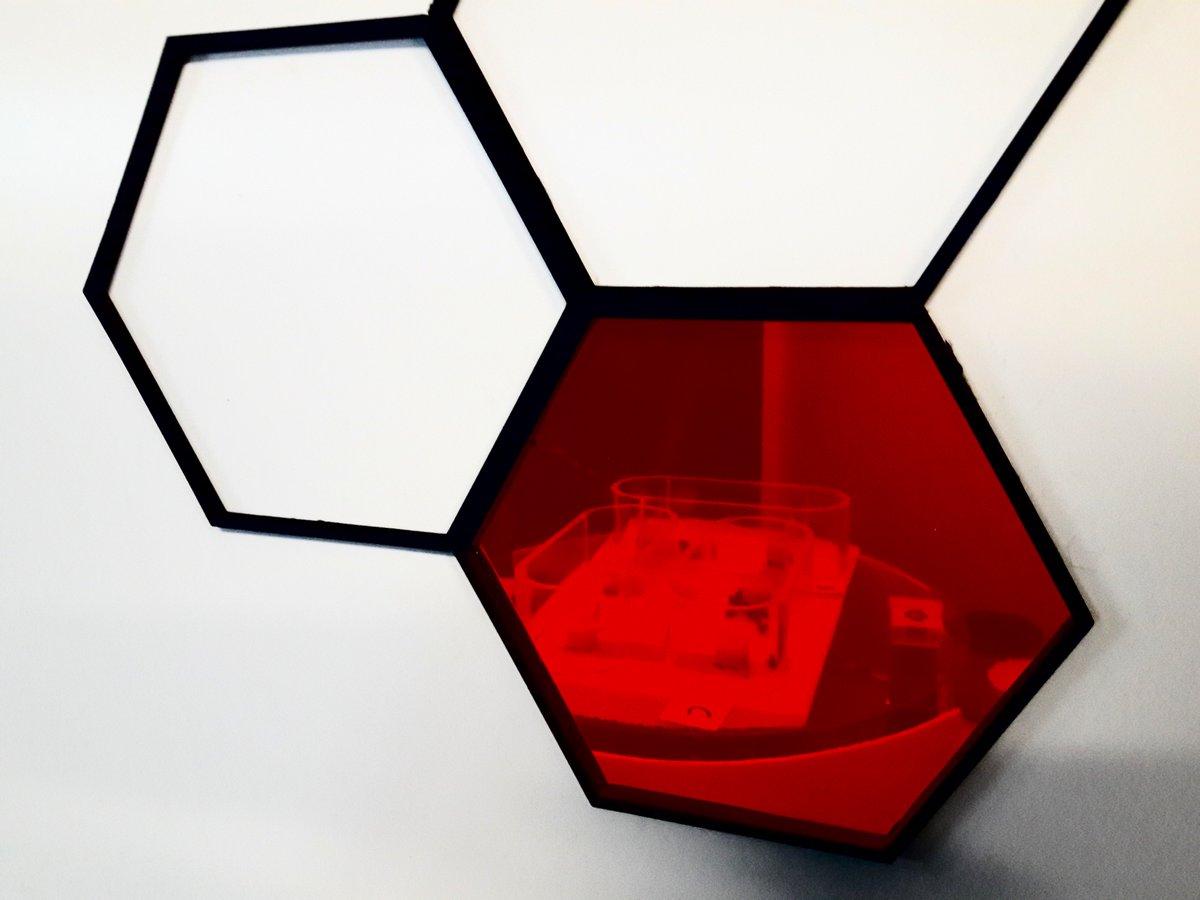 AssisiEU's tweet photo. Get a sneak peek at our bees at the @ArsElectronica Festival! @AssisiEU @fet_eu https://t.co/9WrhFrdV7E